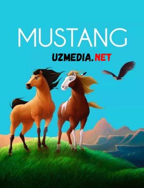 MUSTANG Multfilm Uzbek tilida tarjima 2019 HD O'zbek tilida tas-ix skachat