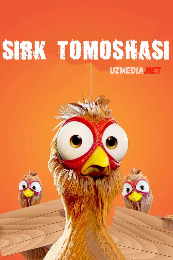 Sirk tomoshasi / Tovuq poygasi Premyera Multfilm Uzbek tilida tarjima 2020 Full HD O'zbek tilida tas-ix skachat