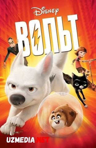 Volt / Bolt Multfilm Uzbek tilida tarjima 2008 HD O'zbek tilida tas-ix skachat