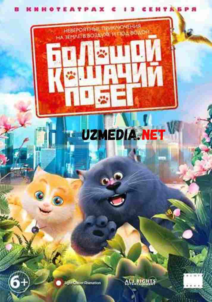 ORZUMAND MUSHUK  Multfilm Uzbek tilida tarjima 2019 HD O'zbek tilida tas-ix skachat
