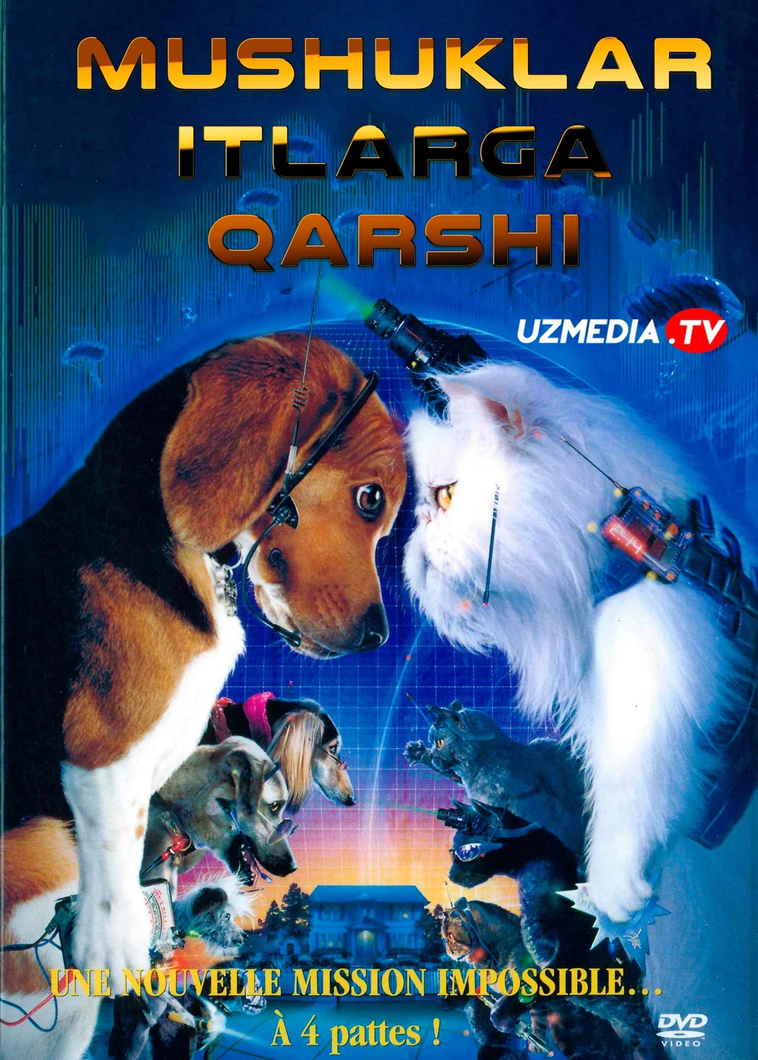 Mushuklar itlarga qarshi / Mushuk it jangi Uzbek tilida O'zbekcha 2001 tarjima kino Full HD skachat
